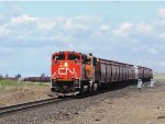 CN 8881